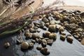 Streudeko Steine Kieselsteine Flusskiesel Tischdeko Deko Konfirmation Kommunion 1-3 cm 500g 4