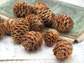 Zapfen Strictum Natur Deko Tischdeko Weihnachten Streudeko Adventskranz Basteln 16 Stück 3