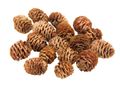 Zapfen Strictum Natur Deko Tischdeko Weihnachten Streudeko Adventskranz Basteln 16 Stück 1