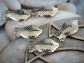 50 Fische 500g Streudeko Kieselsteine Kommunion Konfirmation Tischdeko  SET 3