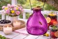 Wespenfalle in  Pink aus robustem Glas, mit Metallbügel zum Aufhängen und ist mit einem passenden Korken 3