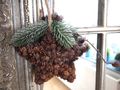 Anhänger Weihnachten Stern Zapfen Christbaumschmuck Weihnachtsdeko Natur  3