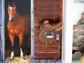 Geschenk Reiten Verpackung Gutschein Reitgutschein Pferd Pferdestall Reitstunden Geburtstag Weihnachten 4
