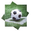 Servietten mit Fußballmotiv zum Feiern von Vereinsfesten, Geburtstagen oder Fußballevents 1