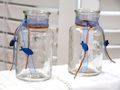 2 Vasen Kommunion Konfirmation Tischdekoration Blau Fisch Natur Vintage DAVID 2