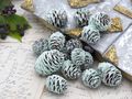 Zapfen Naturzapfen gäferbt Mint Deko Weihnachten Adventskranz Basteln Streudeko Tischdeko  3