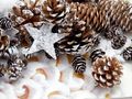 Zapfen Natur Sterne Weihnachten Deko Weiß Braun Holz Winter Tischdeko Basteln 2