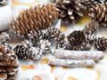 Zapfen Natur Sterne Weihnachten Deko Weiß Braun Holz Winter Tischdeko Basteln 3