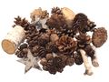 Zapfen Natur Sterne Weihnachten Deko Braun Holz Winter Tischdeko Basteln 300g 1