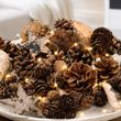 Naturdeko-Mix mit Zapfen, Naturmaterialien und Sternene - für Dekorationen und Bastelprojekte 5