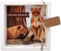 Geldgeschenk Verpackung Afrika Safari Urlaub Reise Fernreise Geldverpackung Wildlife 1