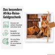 Geldgeschenk Verpackung Safari Afrikareise Gutscheinverpackung handgemacht von ZauberDeko 3