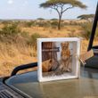Geldgeschenk Verpackung Safari Zoo Reisegutschein Afrika Geschenkidee Mann Frau 5