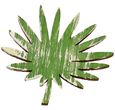 Tischdeko Monstera Farn Blätter Streudeko Holz Grün 6 Stück 7,5cm Basteln Dschungel 3