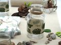 2 Vasen Tischdeko Monstera Blatt Dschungel Natur Grün Garten Sommer 2