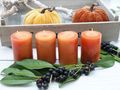 Stumpenkerzen in Kürbis-Orange um Ihren Esstisch, Kamin oder Ihr Sideboard für die Herbstsaison und Winter zu dekorieren 2
