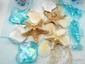 Deko Party Seesterne Muscheln Sand  irisierende Meerestiere Meerjungfrau Figuren und Teelichter   6