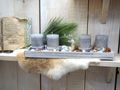 Adventsgesteck Weihnachten Weihnachtsdeko Tablett Hirsch Grau Hellblau Silber Stern Lichterkette Deko 5