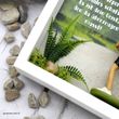 Geschenk Verpackung Sportstudio Fitness Sport Workout  Mann 4