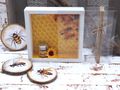 Gutscheinidee Geschenk Honigliebhaber Imker Biene Gutschein Verpackung 6