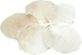 Capiz Muschel Creme Perlmuttscheiben Maritime Deko Tischdeko Basteln 10Stück 1