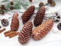 Zapfen Kupfer Fischte Dekoration Herbst Winter Weihnachten Adventskranz Deko Natur 2