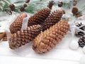Natur Fichte Zapfen in Kupfer sind ideal zur Dekoration im Herbst und Winter  3