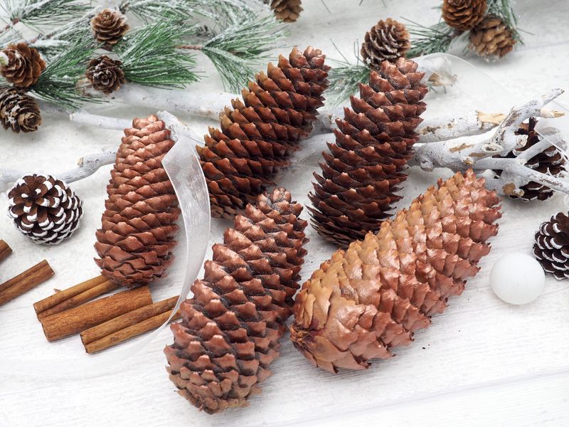 Tannenzapfen Zapfen Fichtenzapfen Kupfer Basteln Weihnachten Weihnachtsdeko 5 Stück