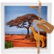 Geldgeschenk Verpackung Afrika Safari Giraffe Urlaub Reise Gutschein Geschenk  1