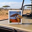 Geldgeschenk Verpackung Safari Gutschein Urlaub Reise Afrika 4