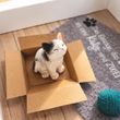 Geldgeschenk Verpackung Katzen-Motiv –  ideal um Katzenfreunden Geld oder Gutscheine zu schenken 4