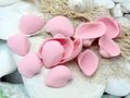 Muscheln Deko Muscheln Rosa Schalen Streudeko Maritim Hochzeit Unterwasser Motto Party  2