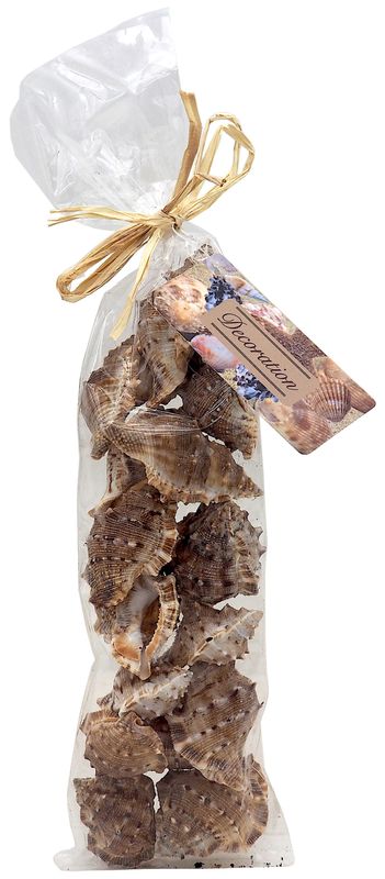 Deko Schnecke Muschel Mix Schneckengehäuse Maritim Deko Streudeko Basteln 200g