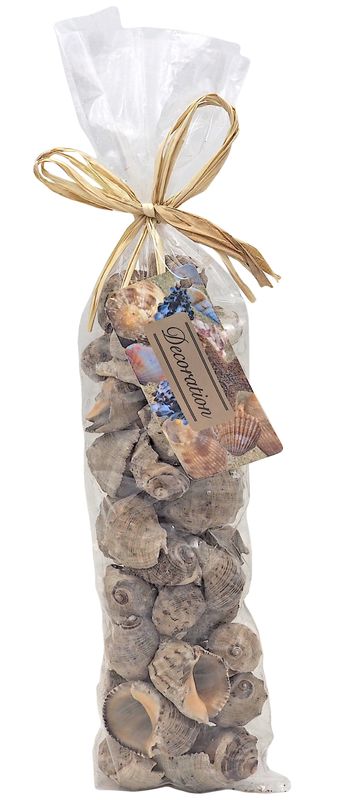 Deko Schnecke Muschel Mix Schneckengehäuse Maritim Deko Streudeko Basteln 200g