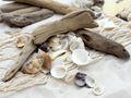 Streudeko Maritime Streuteile Strandgut für maritime Dekorationen DIY Basteln Dekorieren von Vasen Tabletts oder Tisch 5
