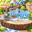 2 Windlichter mit blaue bayrischer Raute für Ihre bayerische Party - Oktoberfest 4