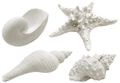 Muschel Schnecke Seestern Muschelmix Weiß Dekomuscheln Maritim Deko Polyresin Groß 4 Stück 1