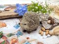 DekoIgel Herbst Braun Beige Herbstdeko Winterdeko Dekoigel Polyresin 2