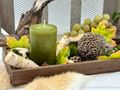 Herbstdeko Tablett aus Holz dekoriert mit Kerzen, Streudeko und einem Igel als Tischdekoration 6