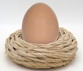 Osterkranz Osternest Kranz Dekokranz Frühling Ostern Deko Nest Holz  3