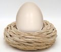 Osternest Kranz Osterkranz Frühling Ostern Deko Nest Natur Holz Ø 25cm 4