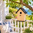 Vogelhaus Natur aus Holz mit schwarzem Dach und Rückklappe als Nistkasten für Garten und Terrasse 5