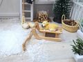 Wichtel Zubehör Schlitten Hund für Wichtelhäuser  Wichteltüren  Miniatur Winterlandschaften Dioramen Puppenstuben Bastelprojekte 3