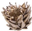 Getrocknete Artischocken Kopf Blüte Gold Natur Deko Herbst Weihnachten 1