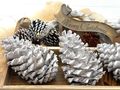 Pinienzapfen in Weiß für Adventsgestecke, Weihnachtskränze, Tischdeko oder winterliche Arrangements  5