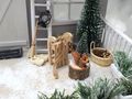 Mini Eichhörnchen und einem Baumstamm als niedliche Wichteltür Zubehör oder Winter Deko Puppenhaus 5