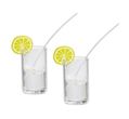 Wichtel Zubehör Miniatur Glas Wasserglas Zitrone 1,2 cm Puppenhaus 2 Stück 1