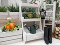 Miniatur-Gießkanne aus Metall – Zubehör für Wichteltür, Puppenhaus & Miniaturgarten 3