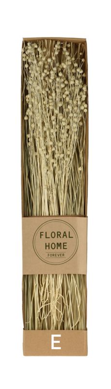 Trockenblumen Blumenstrauß Bund Deko verschiedene Sträuße ca. 130g
