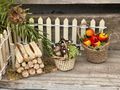Wichtel Zubehör Körbchen Korb mit Pilze Weihnachten Miniatur Puppenhaus 3,5 cm 4